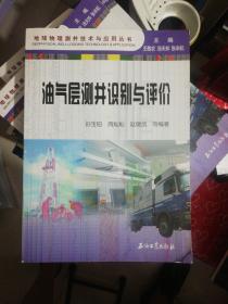 地球物理测井技术与应用丛书：油气层测井识别与评价