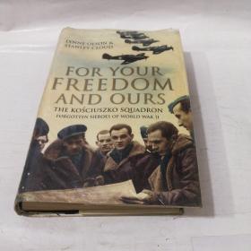 FOR YOUR FREEDOM AND OURS（THE KOSCIUSZKO SQUADRON: FORGOTTEN HEROES OF WORLD WAR II)     为了你们和我们的自由(KOSCIUSZKO中队:被遗忘的二战英雄)