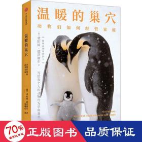 温暖的巢穴