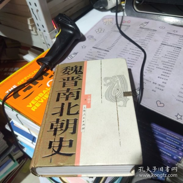 魏晋南北朝史