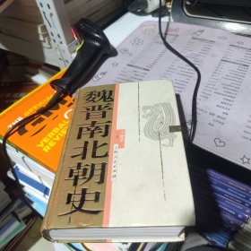 魏晋南北朝史