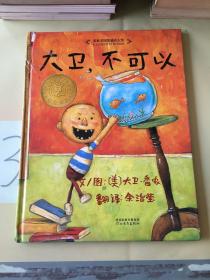 大卫，不可以（书脊断裂）