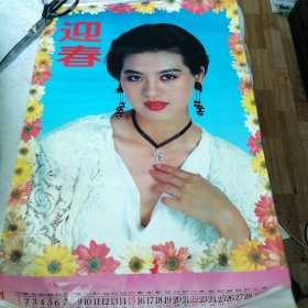 1996年塑膜美女挂历《迎春》12张