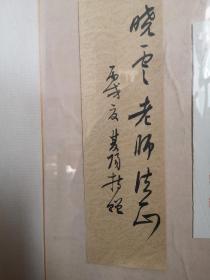 李双阳，当代著名书法家，江苏省青年书法家协会主席，江苏省书法院专职书法家，毛笔题签，保真。题给孙晓云。