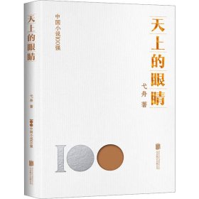 天上的眼睛 中国现当代文学 弋舟 新华正版