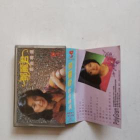 磁带 邓丽君 歌曲精选