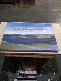 青藏高原油气资源战略选区调查与评价图集