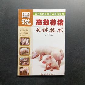 高效养猪关键技术！