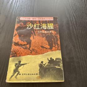 沙紅海腥:從阿拉曼到羅馬