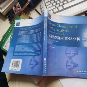 基因克隆和DNA分析:[英文版]