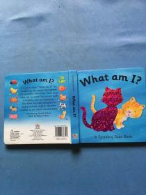 A Sparkling Slide Book:What am I? 干净无写划