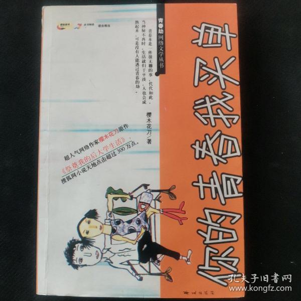 你的青春我买单
