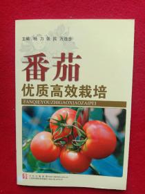 番茄优质高效栽培