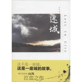 迷城向凯上海人民出版社