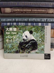 世界自然遗产风采系列 大熊猫
