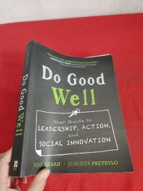 Do Good Well: Your Guide to Leadership, Ac...      （ 大16开  ）【详见图】