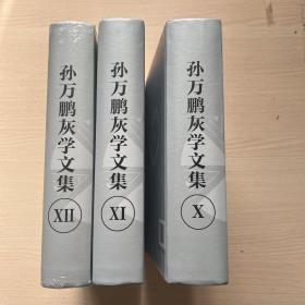 孙万鹏灰学文集 全三册 精装本