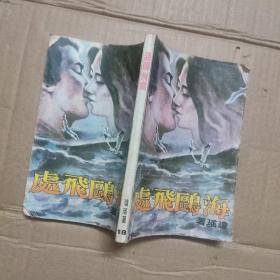 海鷗飛處