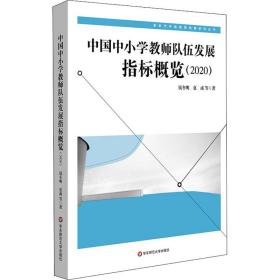 中国中小学教师队伍发展指标概览(2020) 教学方法及理论 钱冬明 等