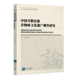 新华正版 中国少数民族非物质文化遗产调查研究 色音 9787513062046 知识产权出版社