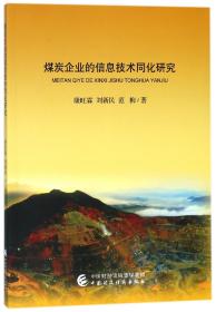 煤炭企业的信息技术同化研究