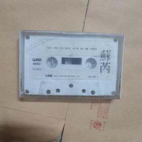 磁带 苏芮  wea 后浪