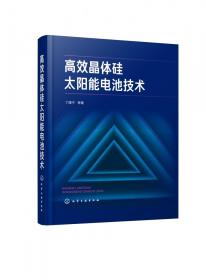 高效晶体硅太阳能电池技术(精) 普通图书/工程技术 丁建宁 化学工业 9787349569