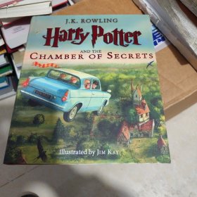 Harry Potter and the Chamber of Secrets: The Ill