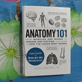 101系列：解剖学 英文原版 Anatomy 101 Kevin Langford PHD Adams Media Corporation 英文原版 精装