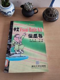中文Visual Basic 6.0傻瓜书