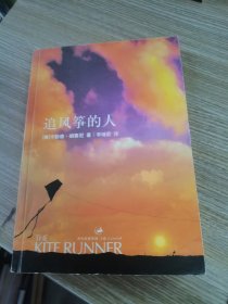 追风筝的人