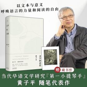 全新正版 文学的意思 黄子平 9787201181769 天津人民