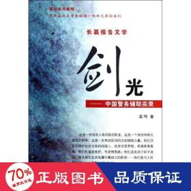剑光:中国警务辅助实录 中国现当代文学 蓝鸿