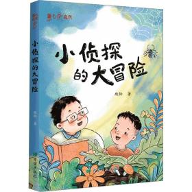 小侦探的大冒险