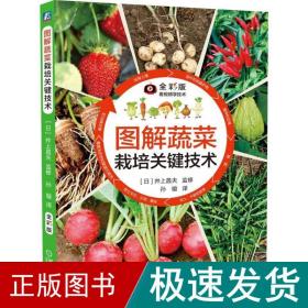 图解蔬菜栽培关键技术 种植业 []井上昌夫 新华正版