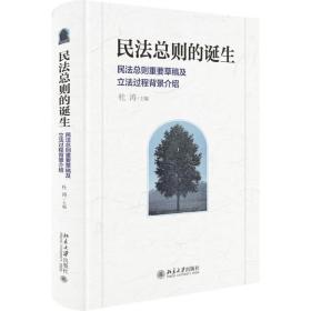 新华正版 民法总则的诞生 杜涛 9787301285404 北京大学出版社
