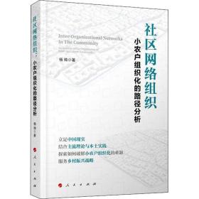 新华正版 社区网络组织 小农户组织化的路径分析 杨帅 9787010217864 人民出版社