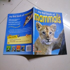 Mammals (My First Book of...)英文原版绘本