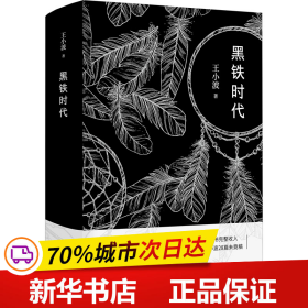保正版！黑鐵時代9787530218518北京十月文藝出版社王小波