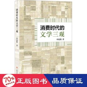 消费时代的文学三观 中国现当代文学理论 申霞艳 新华正版