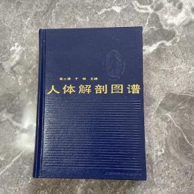 人體解剖圖譜