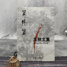 王朔文集：篇外篇