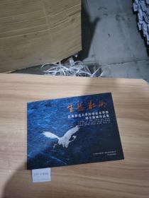 生态鄱湖：江西师范大学科学技术学院师生版画作品集