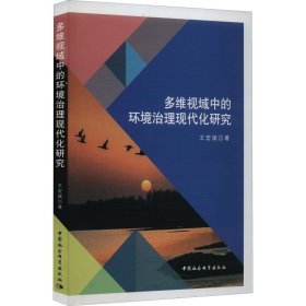 新华正版 多维视域中的环境治理现代化研究 王宏斌 9787522707839 中国社会科学出版社