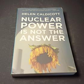 Nuclear Power Is Not the Answer