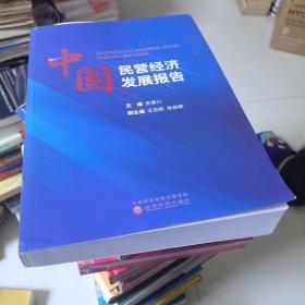 中国民营经济发展报告