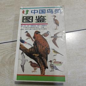 中国鸟类图鉴（32开精装铜版彩印）