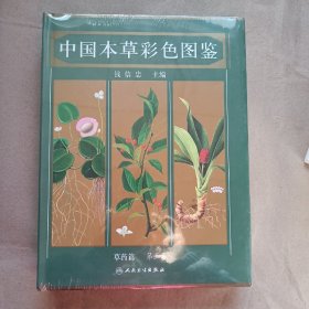 中国本草彩色图鉴第5卷：草药篇