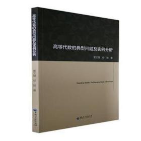 高等代数的典型问题及实例分析 教学方法及理论 曹文慧,邓丽 新华正版