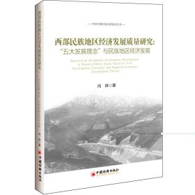 西部民族地区经济发展质量研究向琳中国经济出版社